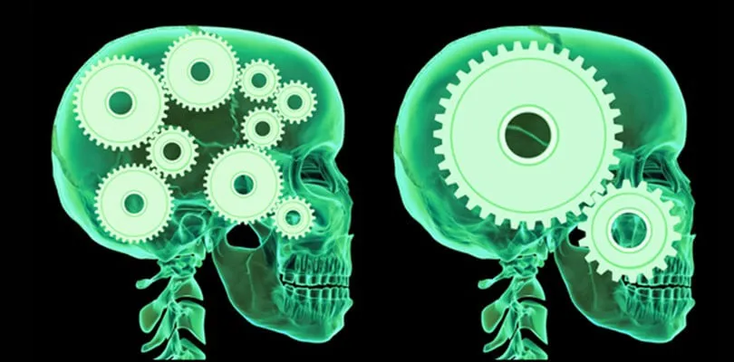 Ser um generalista não é uma coisa ruim