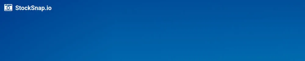 StockSnap: Beautiful free stock photos